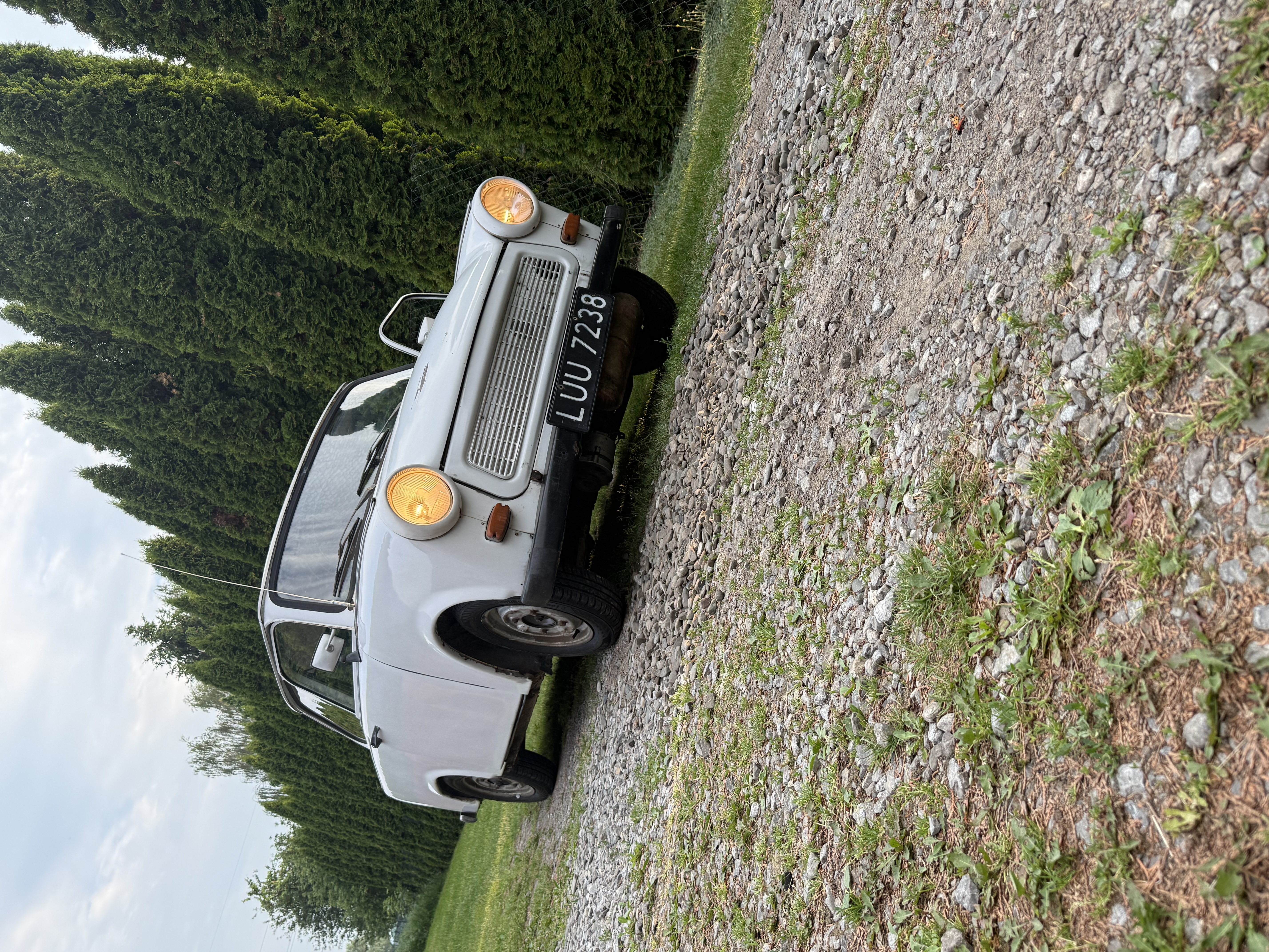 1782223282_IMG_4553.jpeg