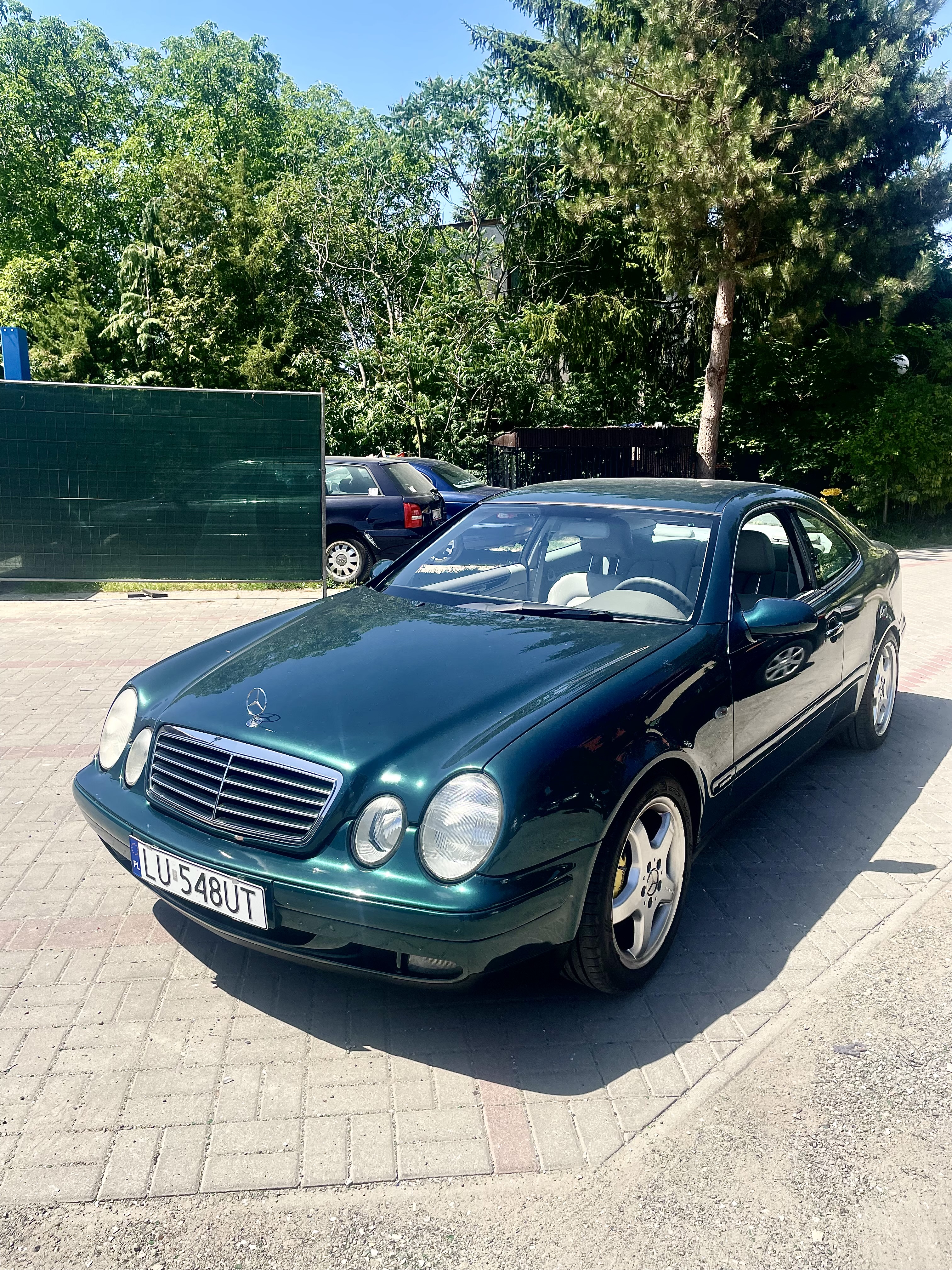 1782933016_IMG_0017.jpeg